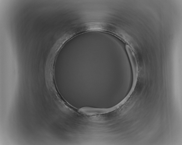 X0000112910385200908241210