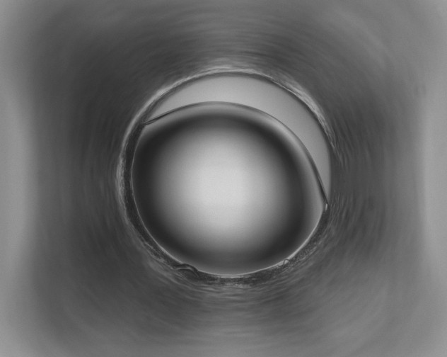 X0000112910387200908241210