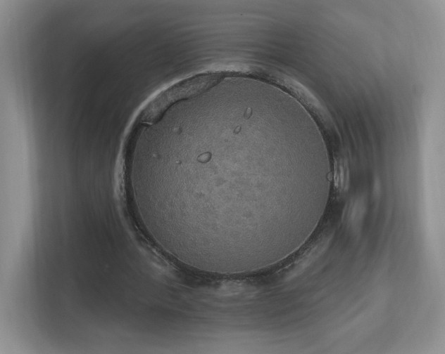 X0000112910388200908241210