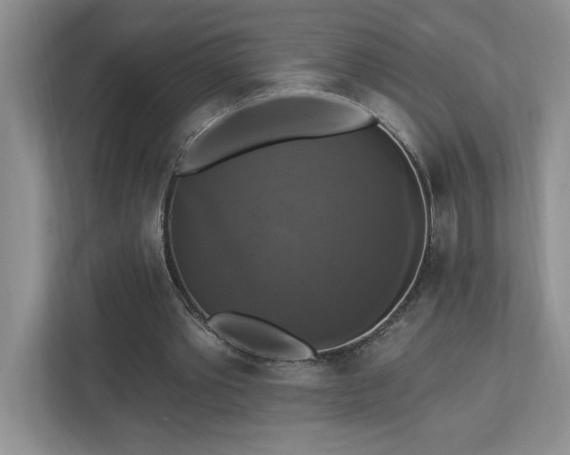 X0000112910389200908241210