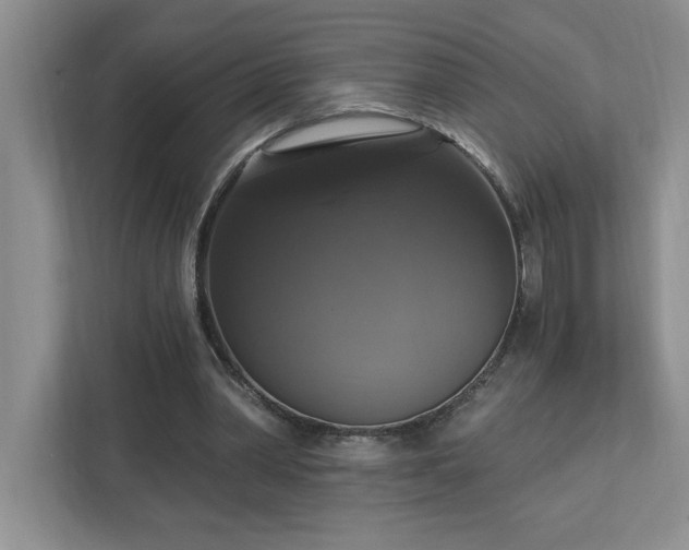 X0000112910390200908241210