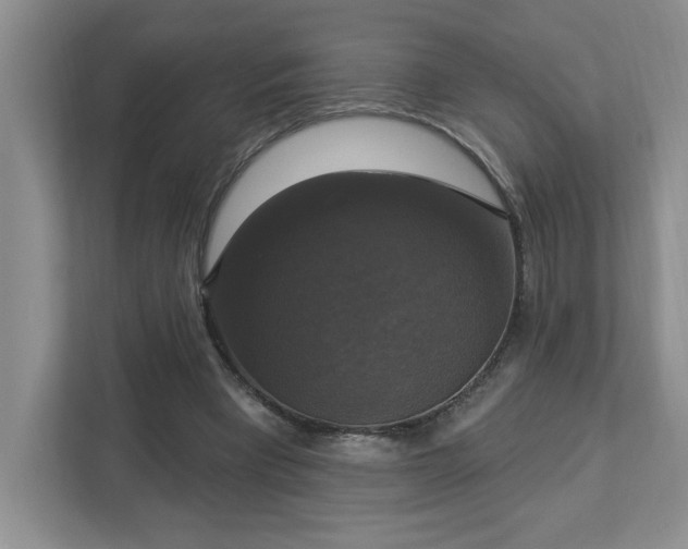 X0000112910393200908241210