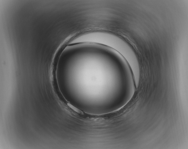 X0000112910395200908241210