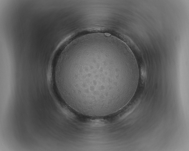 X0000112910396200908241210