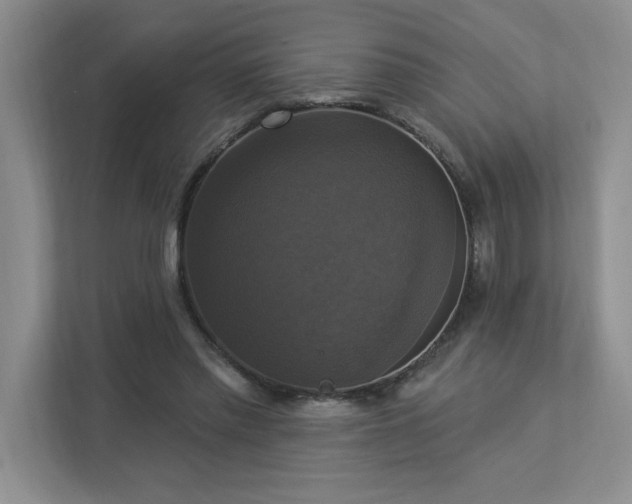 X0000112910397200908241210