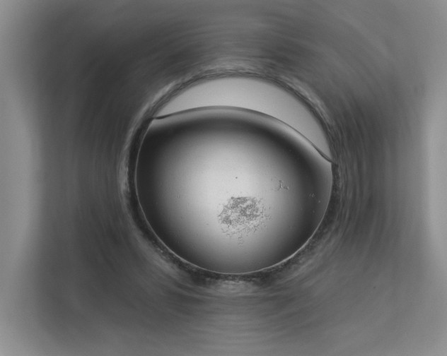 X0000112910399200908241210