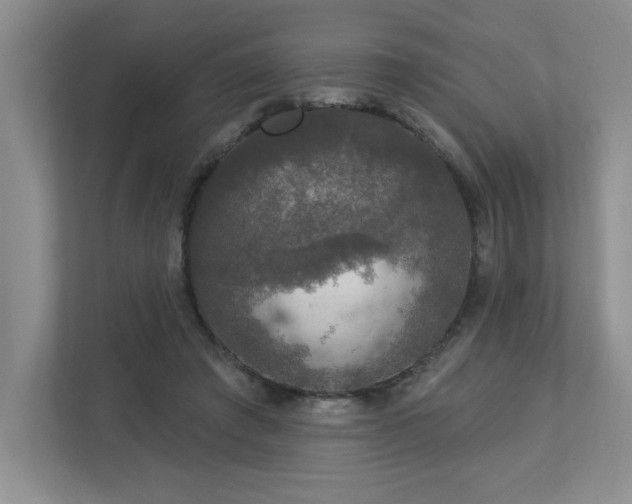 X0000112910401200908241210