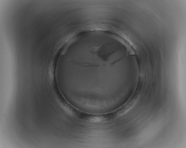 X0000112910402200908241210