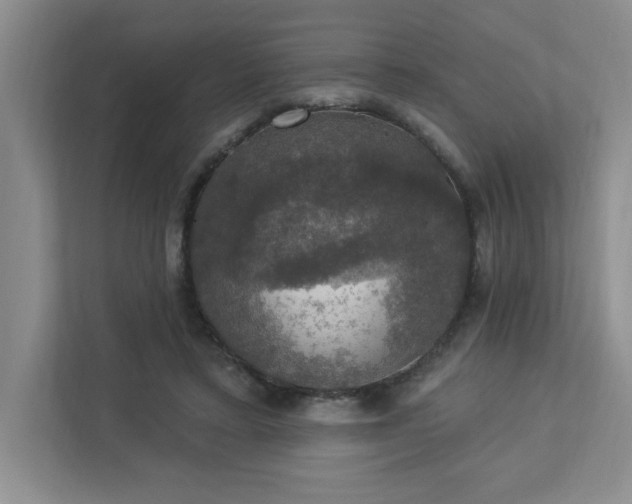 X0000112910403200908241210