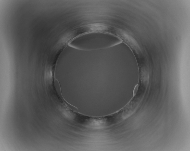 X0000112910405200908241210