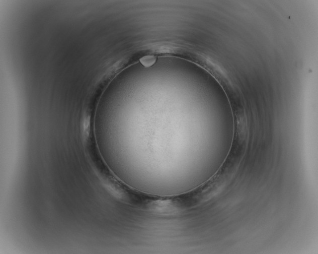 X0000112910406200908241210