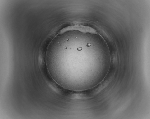 X0000112910408200908241210