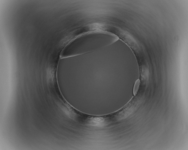 X0000112910409200908241210