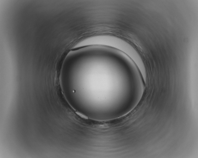 X0000112910411200908241210