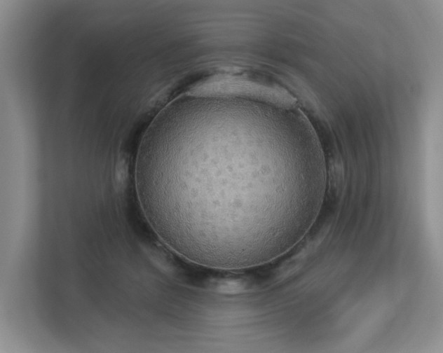 X0000112910412200908241210