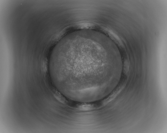 X0000112910413200908241210