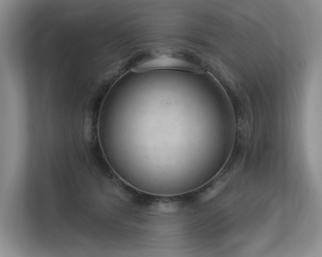 X0000112910416200908241210