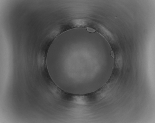 X0000112910417200908241210