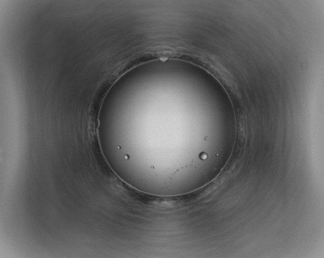 X0000112910419200908241210