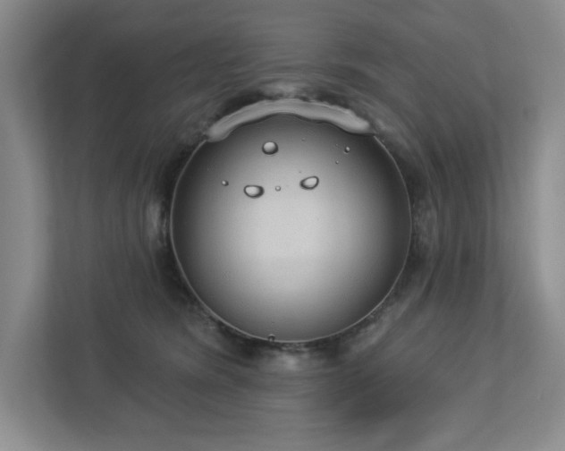 X0000112910420200908241210