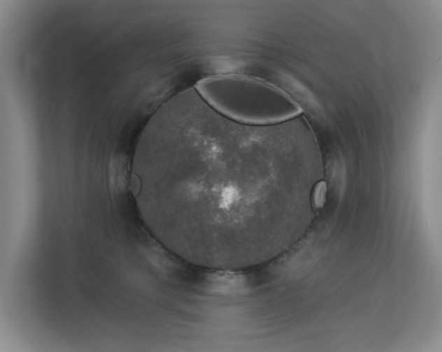 X0000112910421200908241210