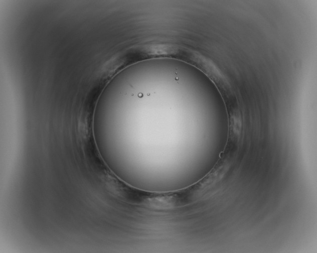 X0000112910422200908241210