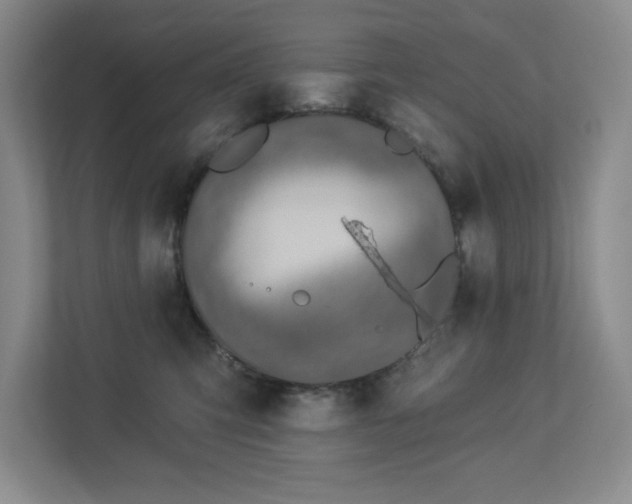 X0000112910423200908241210