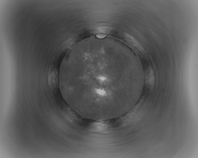 X0000112910425200908241210