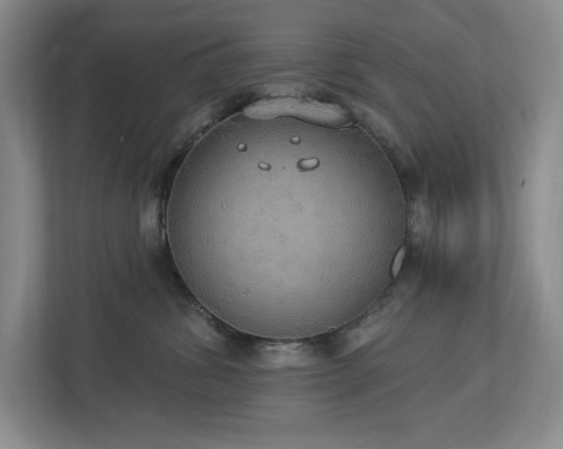 X0000112910428200908241210