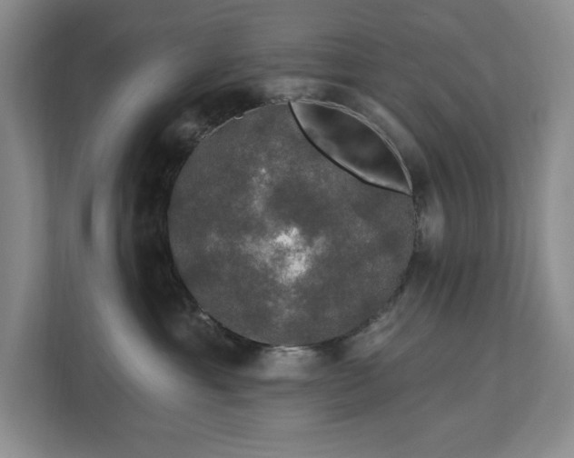 X0000112910429200908241210