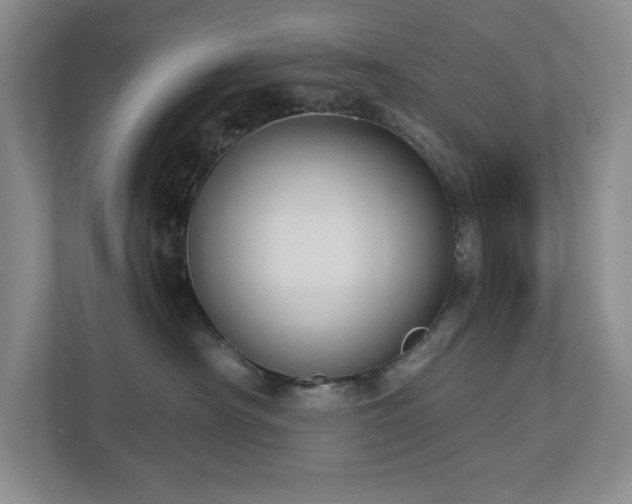 X0000112910430200908241210