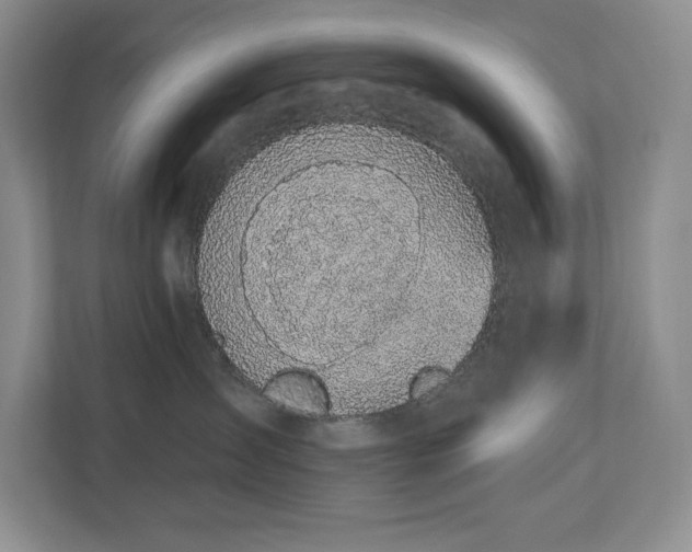 X0000112910431200908241210