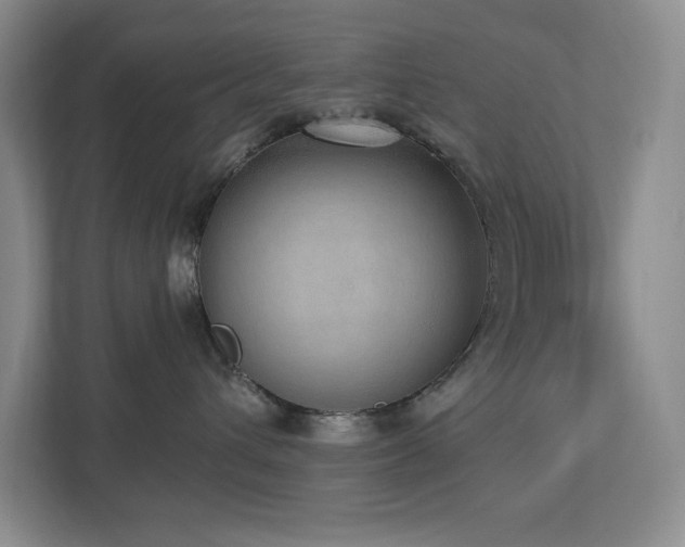 X0000112910432200908241210