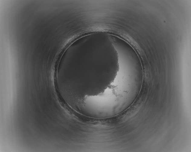 X0000112910434200908241209