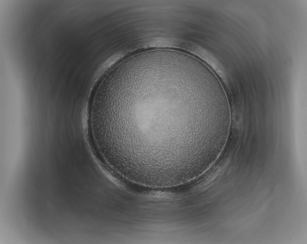 X0000112910437200908241209