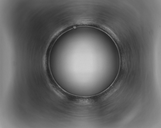 X0000112910439200908241209