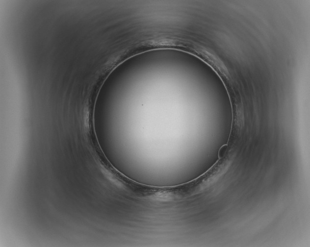 X0000112910441200908241209