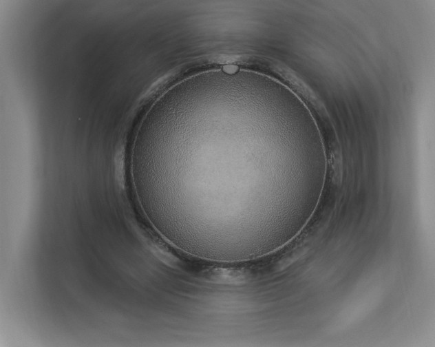 X0000112910442200908241209