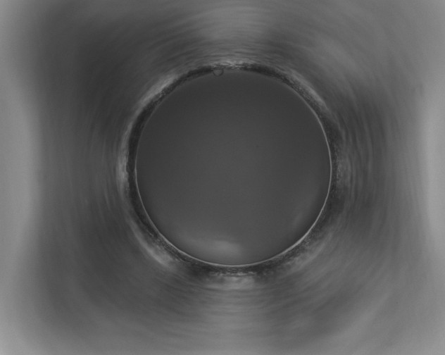 X0000112910443200908241209