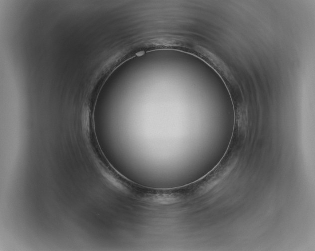 X0000112910445200908241209