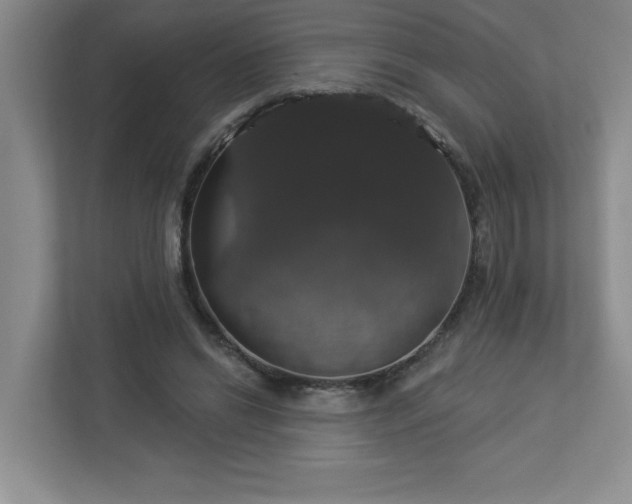 X0000112910446200908241209