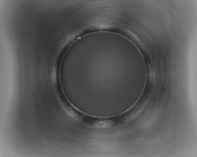 X0000112910447200908241209