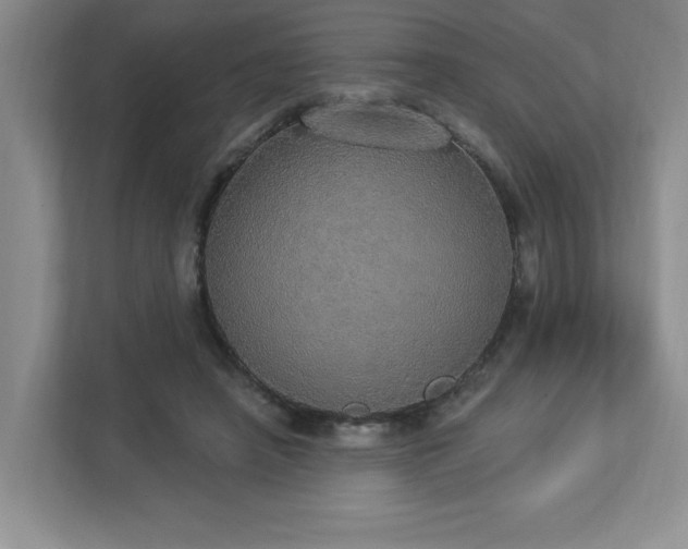 X0000112910450200908241209