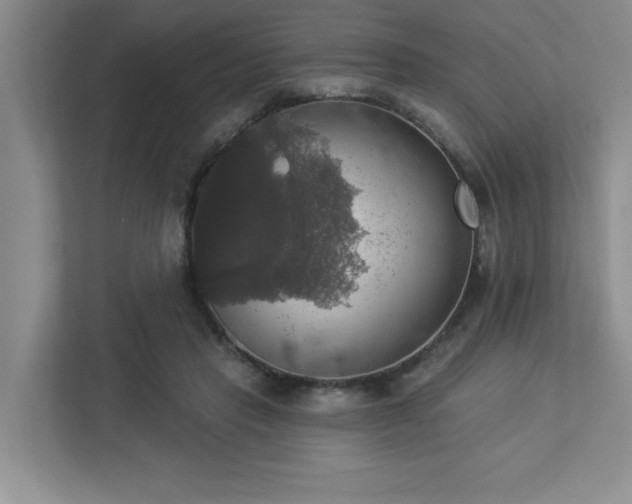 X0000112910453200908241209