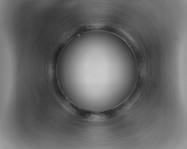 X0000112910455200908241209