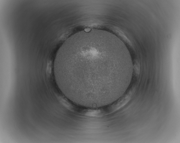 X0000112910458200908241209