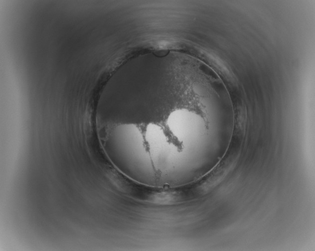 X0000112910461200908241209