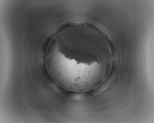 X0000112910462200908241209