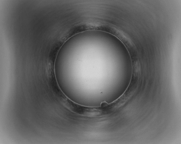 X0000112910463200908241209