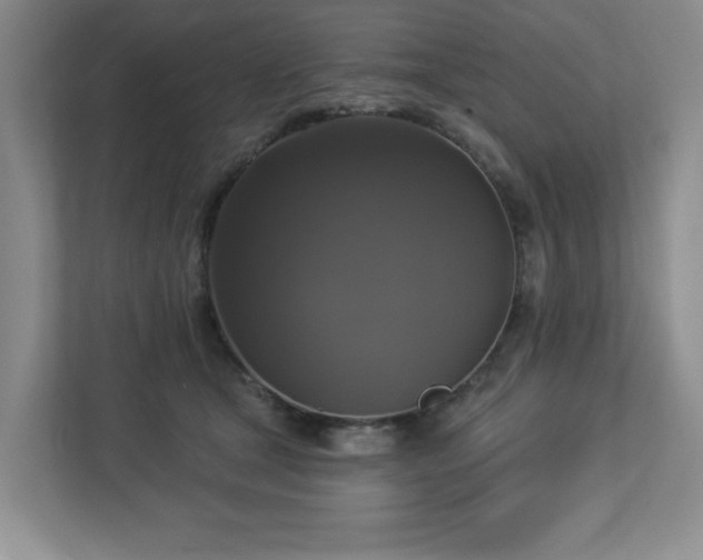 X0000112910465200908241209